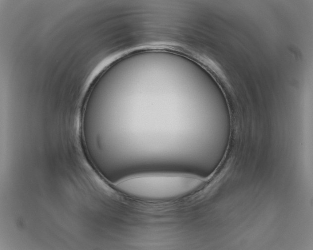 X0000113351420200909151017