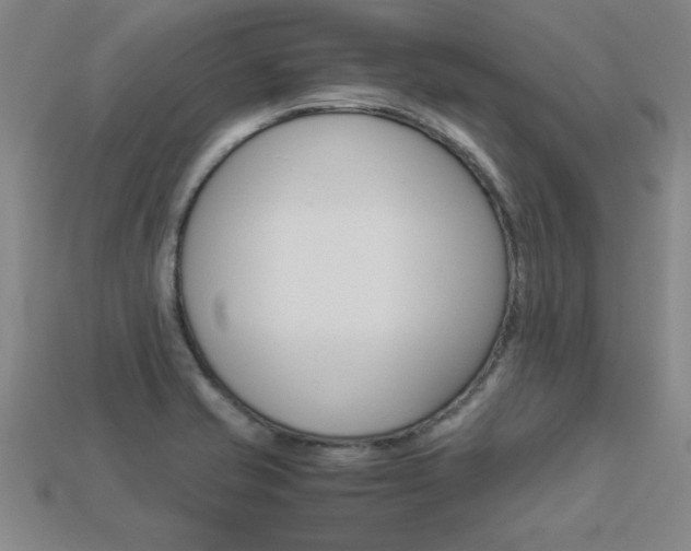 X0000113351421200909151017