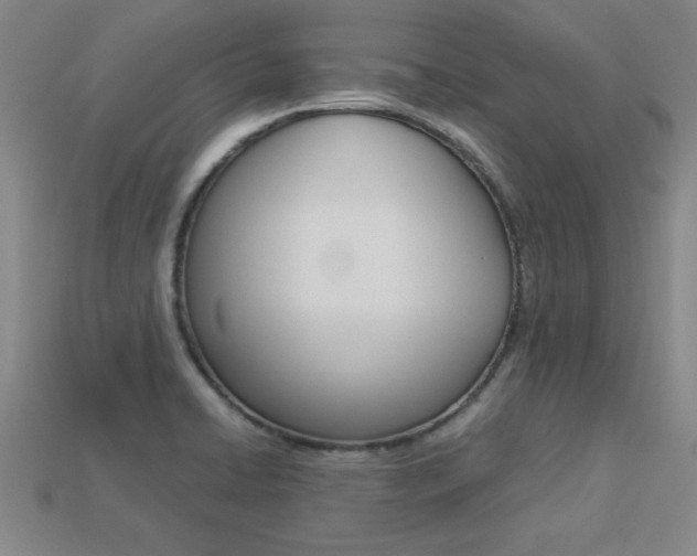 X0000113351422200909151017
