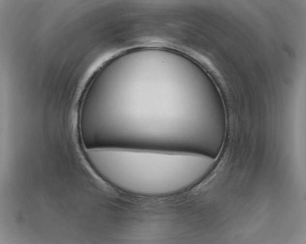 X0000113351424200909151017