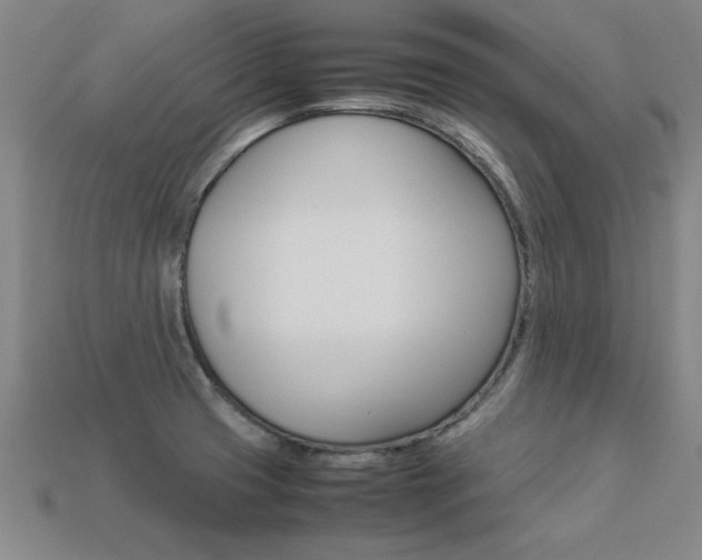 X0000113351425200909151017