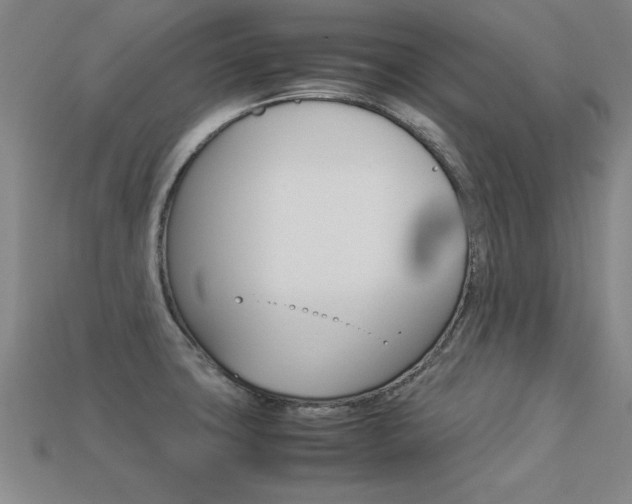 X0000113351427200909151017