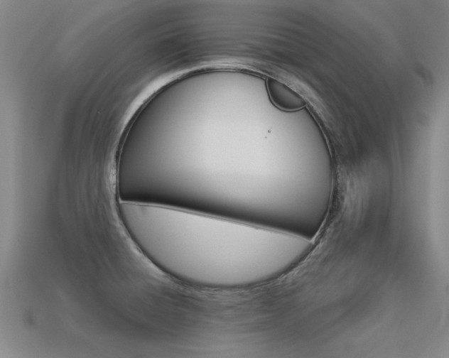 X0000113351428200909151017