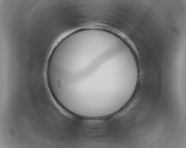 X0000113351429200909151017