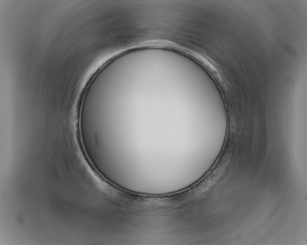 X0000113351430200909151017