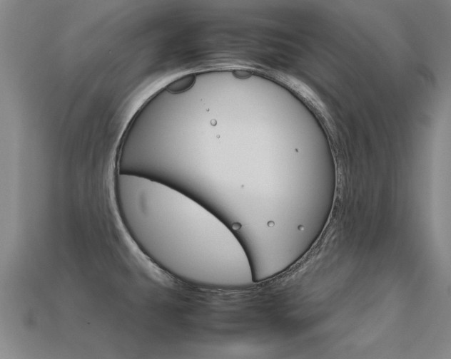 X0000113351431200909151017