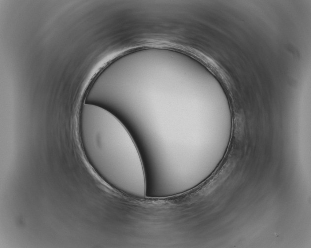 X0000113351432200909151017