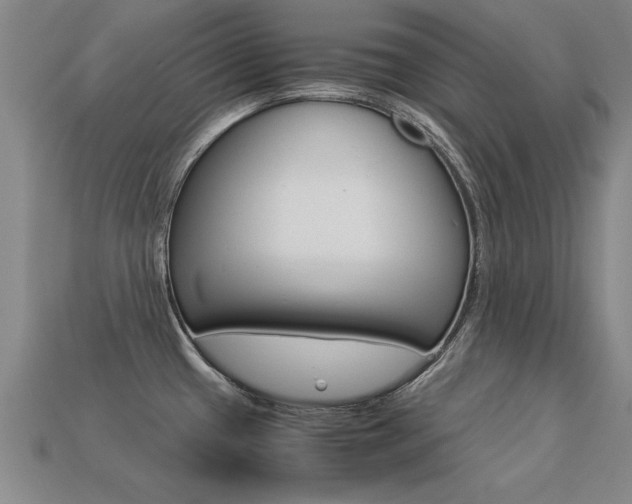 X0000113351433200909151017