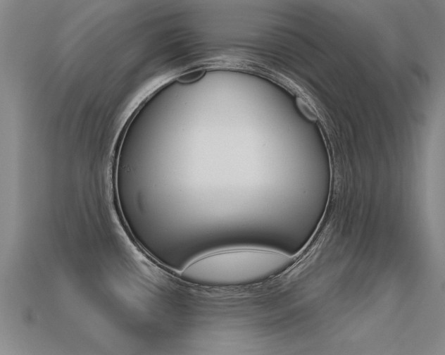 X0000113351434200909151017