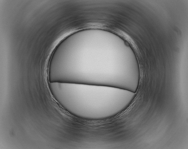 X0000113351435200909151017