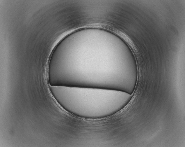 X0000113351436200909151017