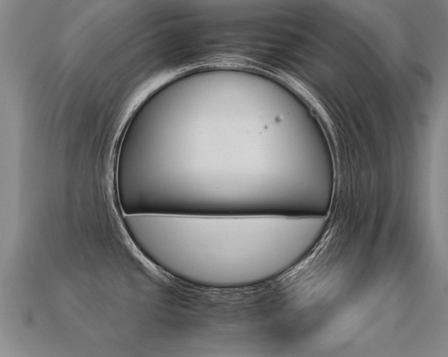 X0000113351437200909151017