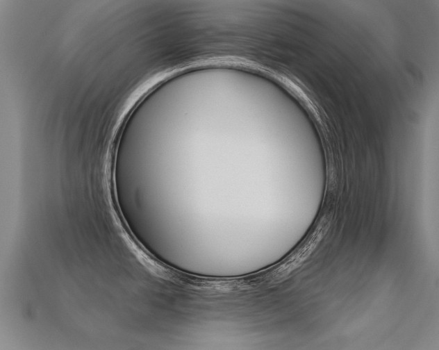 X0000113351438200909151017