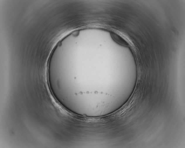 X0000113351439200909151017