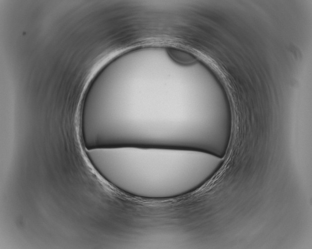 X0000113351440200909151017