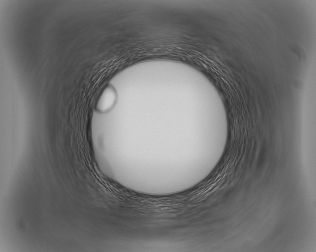 X0000113351441200909151017