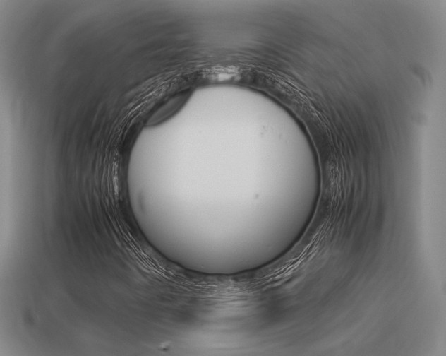 X0000113351442200909151017
