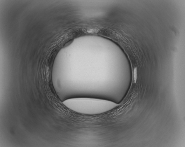 X0000113351443200909151016