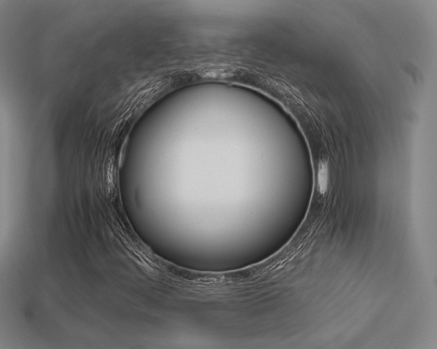 X0000113351444200909151016