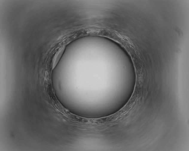 X0000113351445200909151016