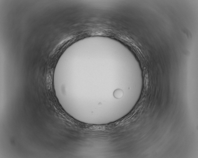X0000113351446200909151016