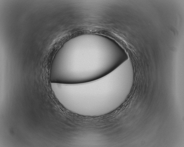 X0000113351447200909151016