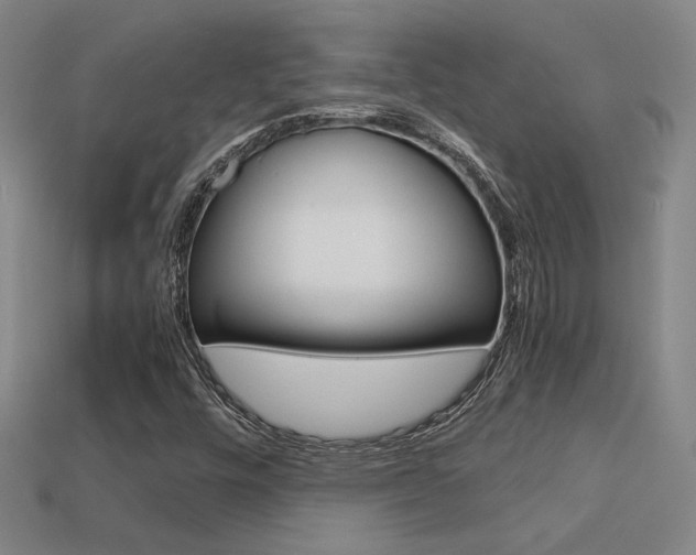 X0000113351448200909151016