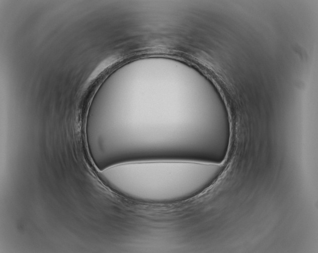 X0000113351450200909151016