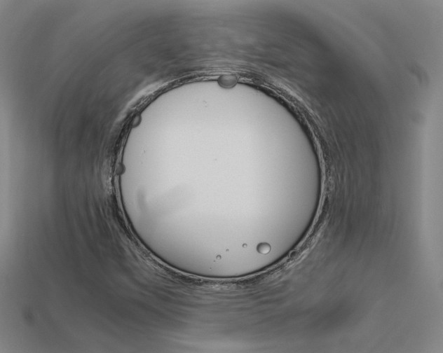 X0000113351451200909151016