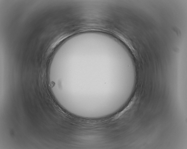 X0000113351453200909151016
