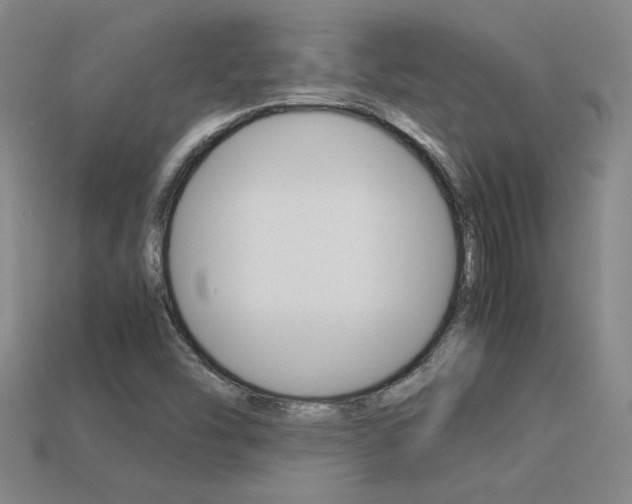 X0000113351454200909151016