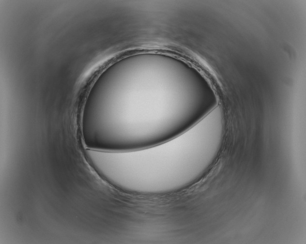 X0000113351456200909151016