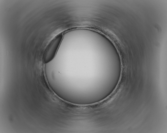 X0000113351457200909151016
