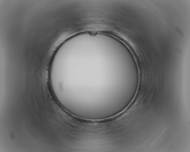 X0000113351459200909151016
