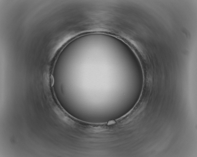 X0000113351460200909151016