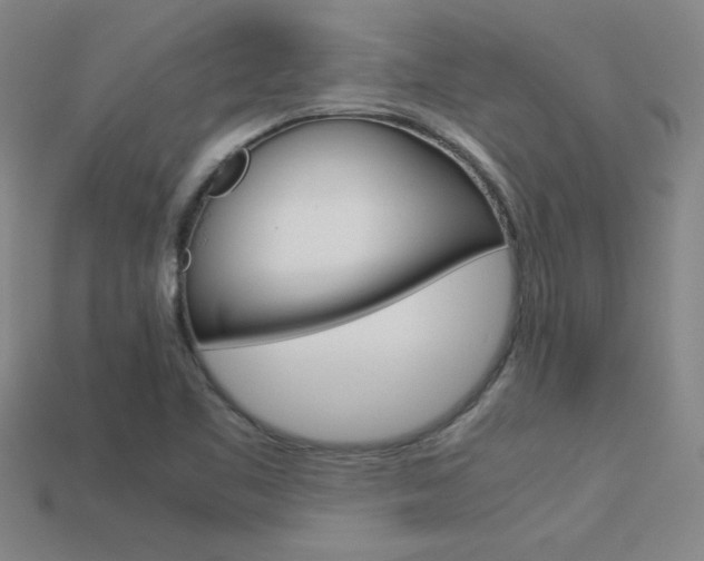 X0000113351461200909151016