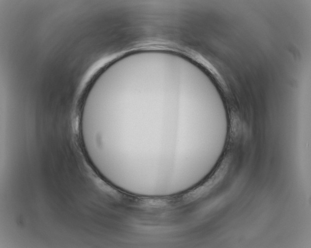 X0000113351462200909151016