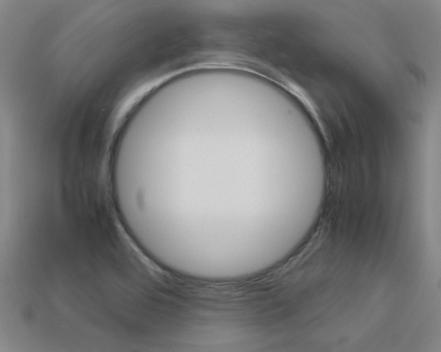 X0000113351464200909151016