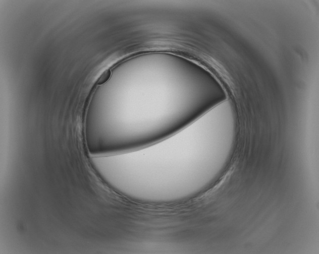 X0000113351465200909151016
