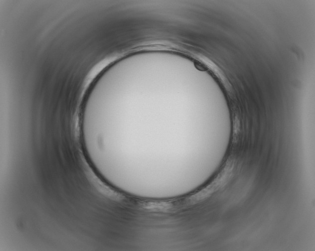 X0000113351466200909151016