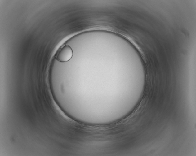 X0000113351468200909151016