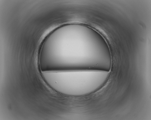 X0000113351469200909151016