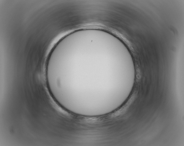 X0000113351470200909151016