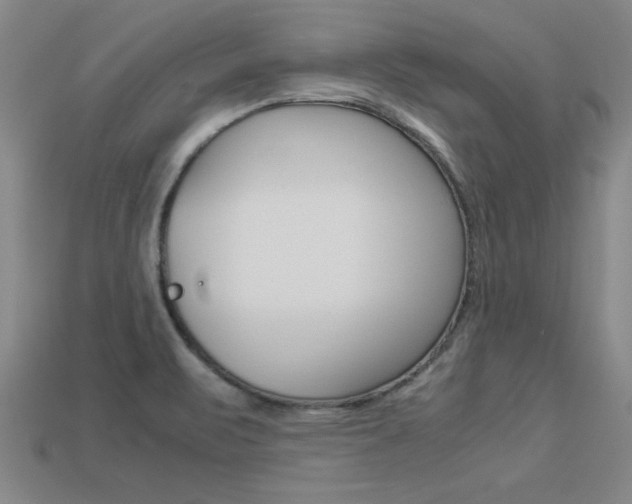 X0000113351471200909151016