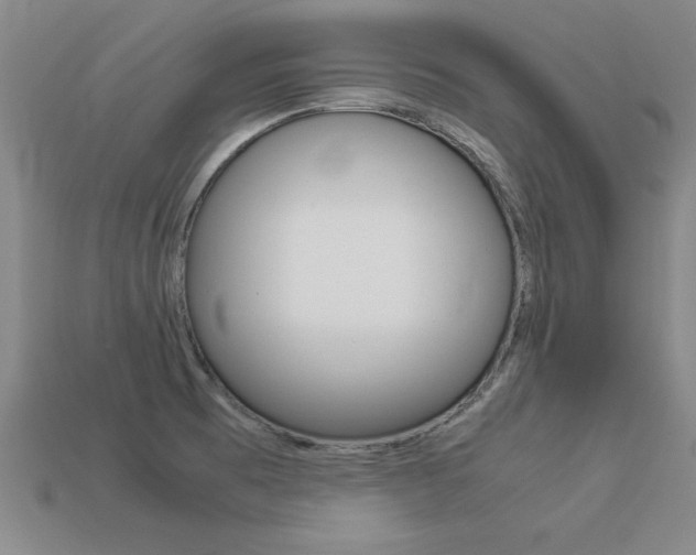X0000113351473200909151016