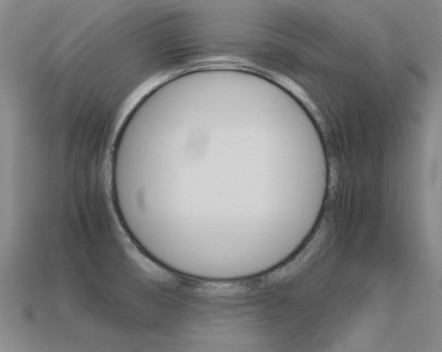 X0000113351474200909151016