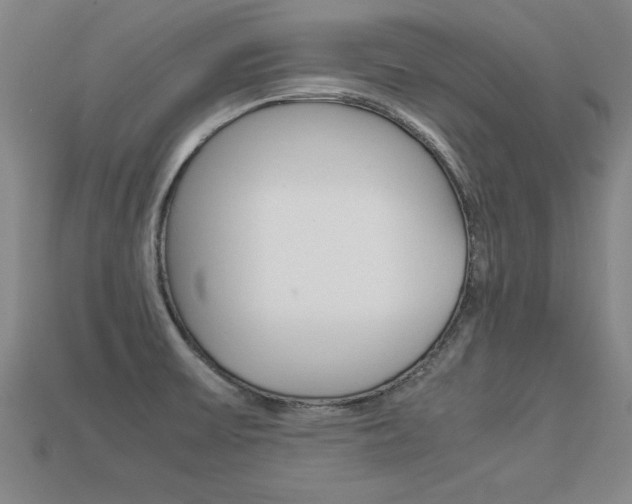X0000113351475200909151016