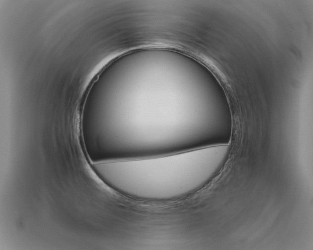 X0000113351476200909151016