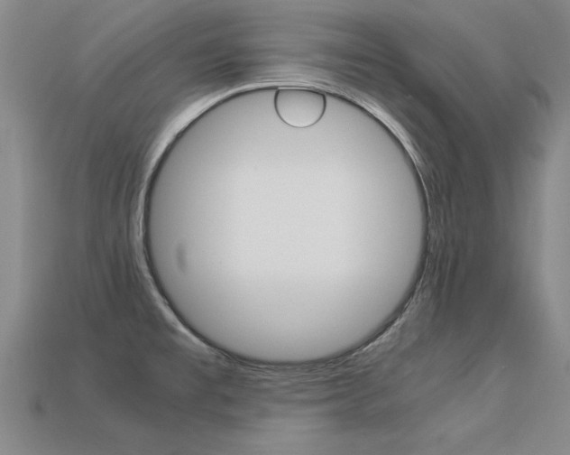 X0000113351477200909151016