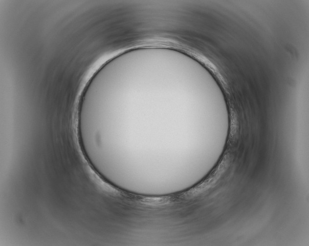 X0000113351478200909151016